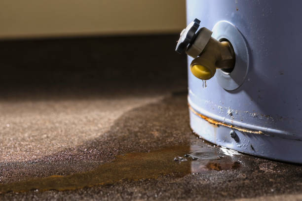 Best Flooded house restoration  in Philippi, WV