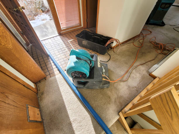 Best Emergency water damage restoration  in Philippi, WV