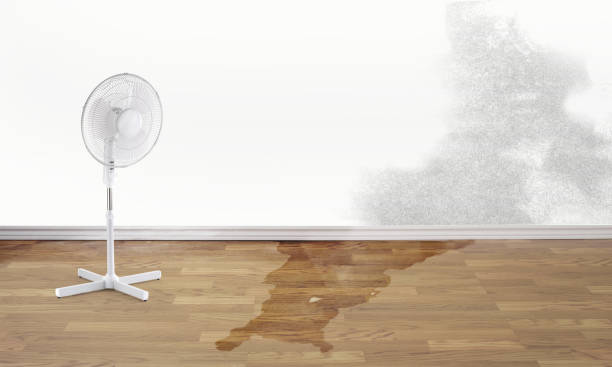 Best Fire Damage Restoration  in Philippi, WV