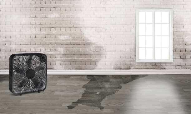  Philippi, WV Water damage restoration Pros