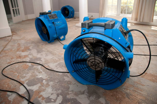 Best Carpet water damage restoration  in Philippi, WV