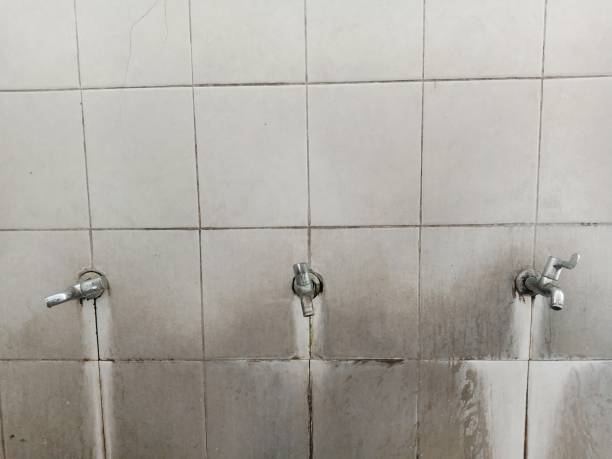 Best Flood restoration services  in Philippi, WV