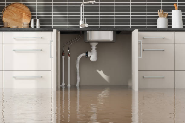 Best Water damage contractors near me  in Philippi, WV
