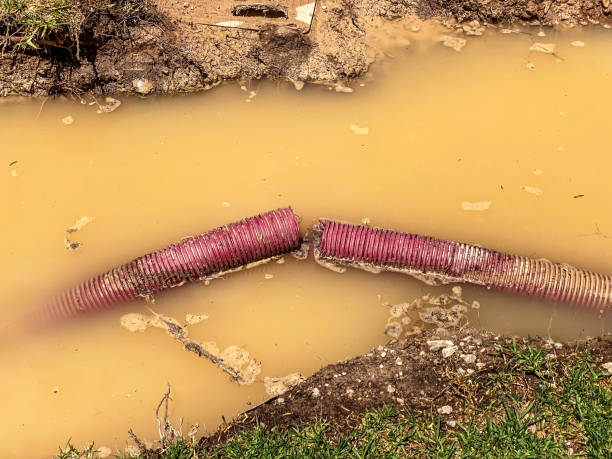 Best Basement water damage restoration  in Philippi, WV