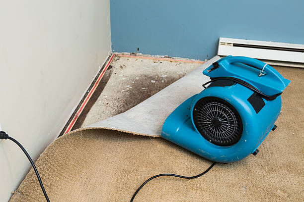 Water damage restoration experts in Philippi, WV