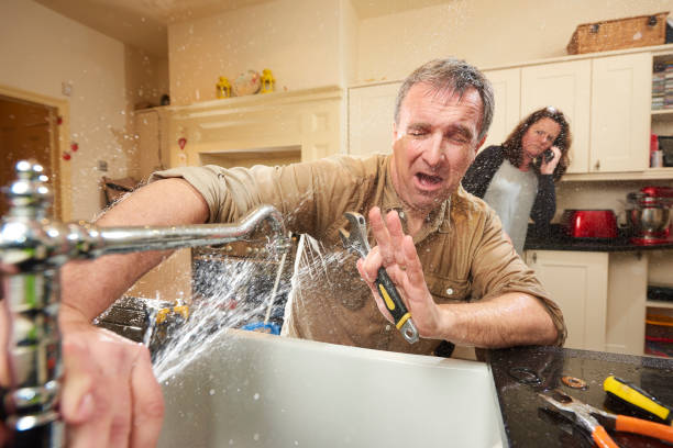 Best Residential water damage restoration  in Philippi, WV